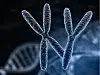 Man and woman chromosomes with macro focus effect.