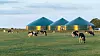 Energiutnyttelse fra biogass har aldri vært så aktuelt som det er nå, og det er ikke så vanskelig som man skulle tro. Foto: Wikimedia Commons@JoachimKohlerBremen