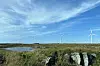 Ny, norsk energiproduksjon frem mot 2040 vil i hovedsak bli drevet av vindkraftutbygging, både til lands og til havs. Her fra Smøla vindpark.