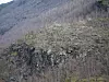 Fjellpartiet Stiksmoen ved Flåm. Foto: NVE