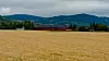 Campus Evenstad ligger idyllisk til. Tidligere var Evenstad en storgård som ble testamentert til staten, under forutsetning av den ble brukt som skole.