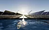 Flytende solstrømanlegg finnes allerede. Men pilotanlegget som nå bygges i Trondheim, skal også produsere varme. Målet er å gi mer energi til kraftkrevende industri.
