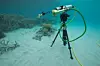 Fra testing av optisk sensor på Great Barrier Reef i Australia i januar 2011. Foto: Geir Johnsen