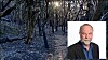 Det er tankevekkende og trist at menneskeheten gjør så lite for å stoppe klimaendringer og tap av artsmangfold. Og at vi til dels fornekter problemene, slik man også har sett og fortsatt ser i Australia, skriver Jan Bråten.