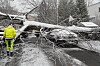 Oslo 20240316. Et tre har falt over flere biler på Frogner i OsloFoto: Frederik Ringnes / NTB