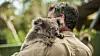 Anslagsvis en milliard dyr er drept i de voldsomme skogbrannene som har herjet Australia. For dem som overlever, kan leveområdene være ødelagt for alltid. Foto: Casal Partiu
