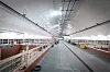 Filterhallen. Her skilles klinten fra hveten, altså humusen fra vannet. Foto: Eirik Helland Urke
