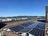 Tak med biologisk mangfold og solceller. De aller første biene har allerede flyttet inn. Foto: Vilde Alstad