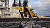 Den firbeinte roboten nå har hatt sin første «arbeidsuke» offshore, 210 kilometer vest for Sandnessjøen.