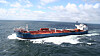 I 2018 ble oljetankeren Navion Brittannia strandet i India. Miljødirektoratet tror Teekay Shipping solgte skipet til ulovlig opphogging og har anmeldt rederiet.