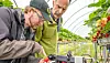 Anders H. Hansen (t.v.) i Sintef og Jens Petter Wold i Nofima tester FragoPro i en jordbærtunnel ved NMBU på Ås.