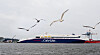 Color Lines Superspeed 2-ferje fikk en bulk i skroget lørdag kveld, noe som har ført til flere kanselleringer på ruten mellom Hirtshals og Larvik.