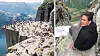 NTNU-student Katine Mo skal undersøke den mye omtalte sprekken i Preikestolen.