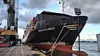 New New Polar Bear fotografert i Kaliningrad 6. oktober etter seks ukers seiling fra Kina. Skipet gikk deretter til St. Petersburg. Skipet er ett av flere i flåten til Hainan Yangpu NewNew Shipping Co. som skal gå regelmessig gjennom Nordøstpassasjen.