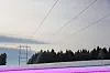 Når strømmen blir borte har fallende trær skylden i seks av ti tilfeller.