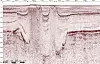 Evry har lansert en nettbasert plattform for oljebransjen. Den er rettet mot programvare for geologi, geofysikk og reservoarteknologi, og brukere skal kunne søke, organisere, lagre, dele og analysere seismisk informasjon.