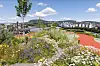 Også lokalt er det nyttig med klimatilpasninger. I et nytt spill utviklet av forskere kan deltakerne for eksempel legge inn trær, klatreplanter og blomsterenger for å gi skygge og redusere temperaturen. Takparken på Økern Portal i Oslo er et eksempel på hva man kan gjøre i virkleigheten, med dyrking av frukt go grønt, oppsamling av regnvann mm..