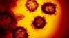 Mengder av virus i mange ulike former. Noen helt harmløse, noen sykdomsfremkallende og noen livsfarlige. SARS-CoV-2 som forårsaker sykdommen Covid-19 er ikke av de verste.