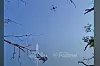 Her blir el-sykkelen senket ned til den strandede soldaten fra en relativt stor drone.
