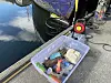 Plastposeavgiften som ble innført i 2017 utgjør etterhvert en anselig sum, som skal brukes til å redusere miljøproblemer knyttet til plast.