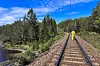 Sørlandsbanen er stengt mellom Vegårshei og Gjerstad etter at godstog sporet av.