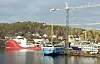 Yara Birkeland til kai i Trosvik ved Brevik. Siem Spearfish og Island Crown ligger også ved verftet Vard har solgt til lokale investorer for videre drift. Foto: Tore Stensvold