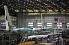 Når 737-flyene monteres sammen i Renton, er skrogene dekket til med grønn beskyttelsesfilm som vaskes av før lakkering. Den eneste delen som er malt mens flyene er på produksjonslinja, er sideroret. Årsaken er at dette må finjusteres etter at vekten av malingen er påført.