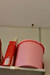 Bøtta på skogbrukssjefens kontor tar vannet som drypper ned fra hullet i taket ved dårlig vær.