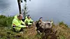 Byggeleder Skule Jacobsen i fylkeskommunen og geitbonde Bjørge Eikelund på befaring på Kolven to dagar etter at geitene startet på oppdraget. Foto: Birthe Johanne Finstad/Vestland fylkeskommune