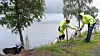 Geitene er sosiale dyr, og de setter pris på at eier og byggeleder har tatt turen for å hilse på. De snur likevel straks de kommer opp til grensen og hører lydsignalet. Foto: Birthe Johanne Finstad/Vestland fylkeskommune