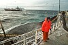 Havforskningsinstituttet hevder at et oljeutslipp utenfor Lofoten kan ta livet av et helt årskull torsk eller sild.