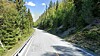 Riksvei 41 rett nord for Birkeland i Agder.