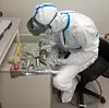 Slik ser det ut når fiskebeina behandles på DNA-laboratoriet. Foto: Giada Ferrari/UiO