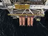 Fire livbåter av type GES 45 med plass til 60 personer i hver på Statoils Grane-plattform. Foto: Norsafe
