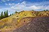 Det er mange mineraler og metaller i avgangsmassene fra gruvedriften i Folldal. Rødfarge betyr som regel jern. Foto: Bjørn Olav Amundsen