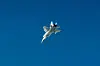 Russisk MiG 31-kampfly avskåret av svenske JAS 39 Gripen-fly over Estland 19.09.2025.