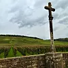 Romanée-Conti i Burgund er kanskje verdens mest berømte vingård, og folk overnatter i telt utenfor Vinmonopolet for å få tak i vinene herfra. Men vil de klare beholde denne posisjonen i mange tiår framover? Foto: Svein-Erik Hole