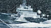 Digitalisering av shipping skyter fart under korona-krisen.