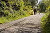Skinnegangene som en gang ble brukt til å frakte granater og krutt er populære turveier på Møvik. Foto: Arash A. Nejad