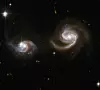 Den andre halvparten av simuleringene viser at Melkeveien og Andromeda i første omgang passerer hverandre med en avstand på 500.000 lysår eller mindre, før de beveger seg bort fra hverandre. Senere nærmer de seg igjen og smelter sammen i en fjern fremtid. Her er en lignende prosess illustrert med galakseparet NGC 6786, som viser tegn til forstyrrelser etter en nær kontakt. Illustrasjon: Nasa, Esa, STScI, Till Sawala (Universitetet i Helsingfors), DSS, J. DePasquale (STScI)