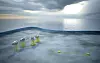 Statoils illustrasjon av Johan Sverdrup-plattformene på Utsirahøyden. (Foto: Statoil).