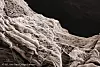 Man må bruke sterk forstørrelse for å kunne se de enkelte fibrillene, som i dette bildet hvor de fleste fibrillene har diameter på ca. 15 nanometer. Foto: Gary Chinga Carrasco