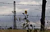 Det er et dramatisk fall i antall rigger som opererer i USA akkurat nå. Analysebyrået Wood Mackenzie tror flere produsenter må stenge ned på grunn av lav oljepris i 2015. Det kan sende prisen opp igjen. Her en rigg i Texas.