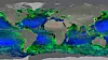 Ifølge forskerne bak den nye studien blir verdenshavene grønnere og grønnere i takt med klimaforandringene. Foto: Nasa