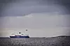 Over 200 cruiseskip seiler inn Oslofjorden hvert år. Dette kommer i tillegg til stor skipsaktivitet i området forøvrig. Foto: Håkon Jacobsen