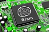 Målet er å kunne lage en kunstig hjerne som behandler informasjon slik som vår egen, men som er svært mye mindre både i omfang og energibruk enn om hjernen skulle simuleres i programvare i en superdatamaskin. Foto: Colourbox
