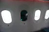 Karbonfiberskroget tillater at vinduene på Dreamliner er 65 prosent større enn på sammenlignbare passasjerfly. De har ikke gardin men derimot elektrokromatisk dimming, det vil si at lystransmisjonen endres ved at det påtrykkes en spenning over den. Det er fem innstillinger, og det tar cirka 75 sekunder å gå fra lyseste til mørkeste innstilling.
