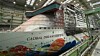 MS Global Dream skulle vært levert i 2021 til Genting Hong Kongs cruiserederi. Genting Hong Kong eide også verftsgruppen MV Werften. Verftene gikk konkurs i januar 2022 da skipet var 75 prosent ferdig.