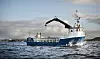 FMC har en flåte på sju egne skip, og tre innleide, som høster stortare ved kysten fra Rogaland til Nordland. Foto: Thor Haakon Ulstad