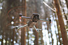 Det ligger an til at USA vil forby droner fra DJI.